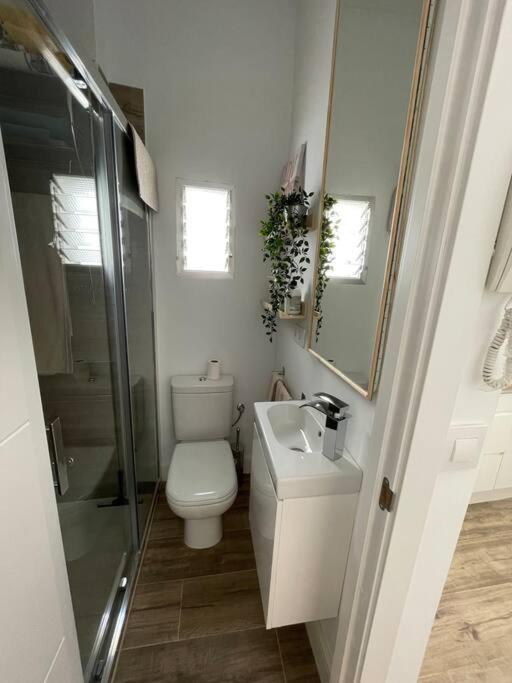 Apartamento Atico duplex con Terraza en pleno centro de Jerez Jerez de la Frontera Exterior foto